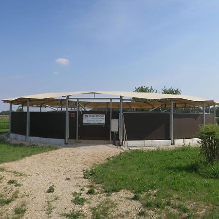 Holiday Home Domus Magna-3 By Interhome Povoletto エクステリア 写真